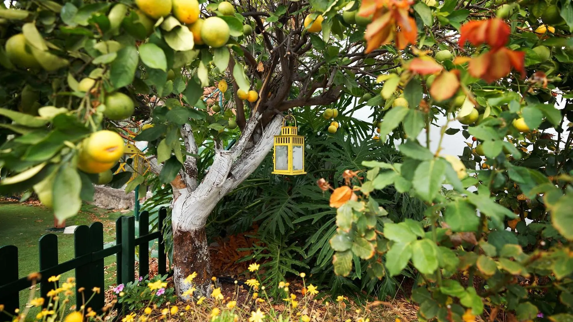 Finca Ecologica Quinta Los Tizones, Casa Aguacate Santa Cruz de Tenerife Villa