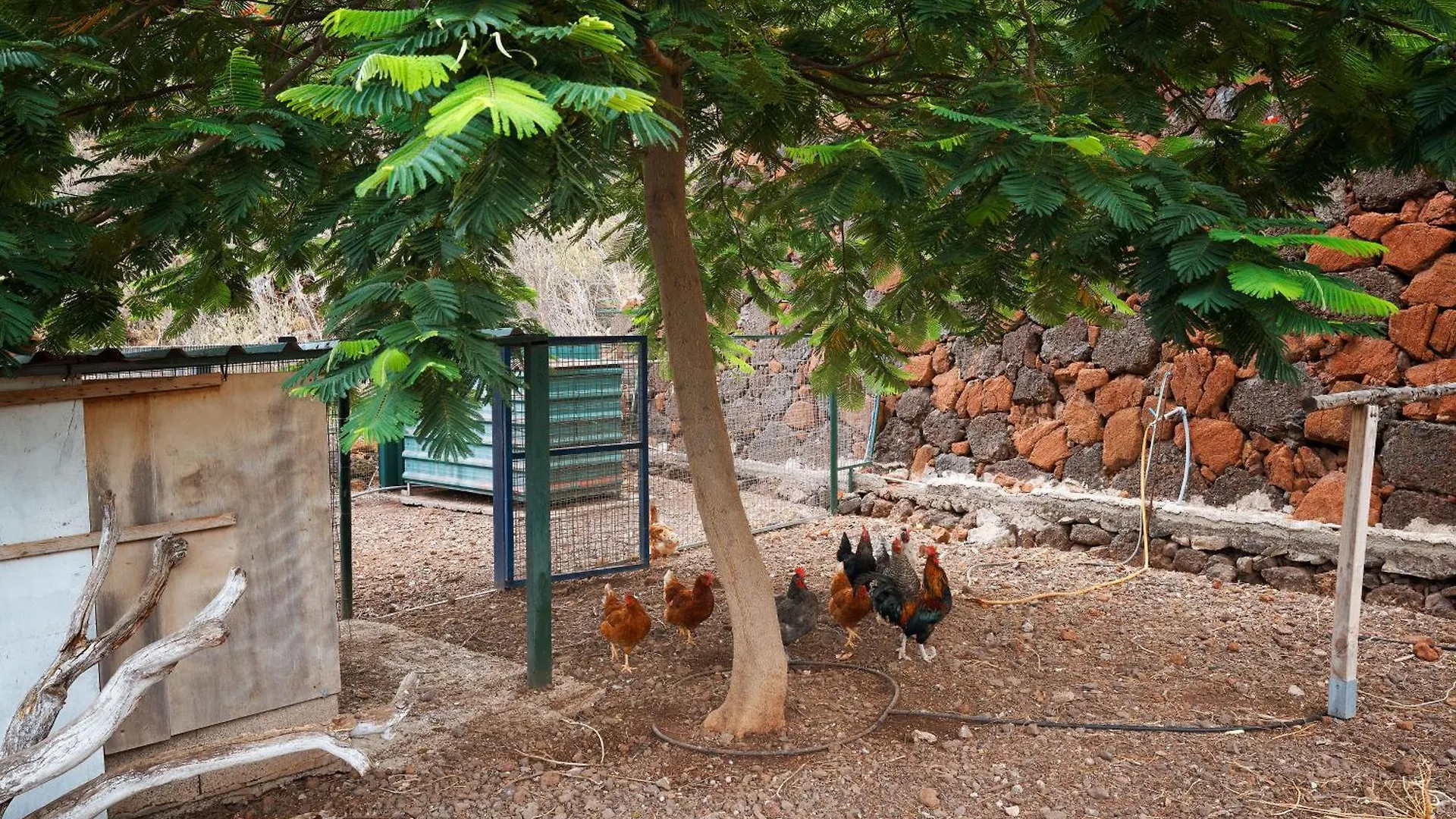 Finca Ecologica Quinta Los Tizones, Casa Aguacate Santa Cruz de Tenerife